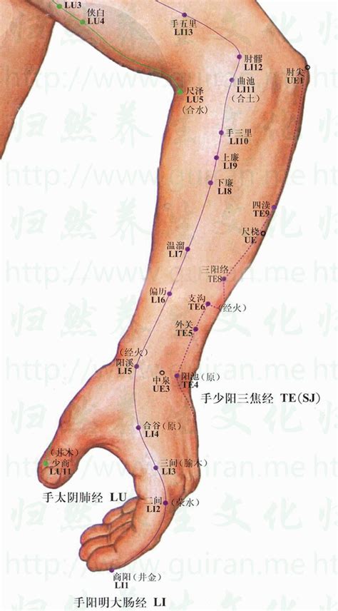 陽西穴|陽溪穴位置 